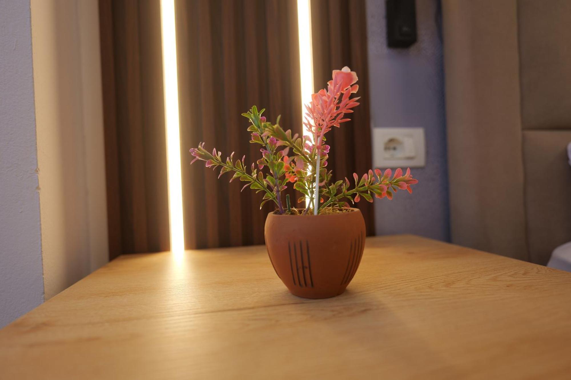 Golden Sleep Hostel Shkoder Ngoại thất bức ảnh